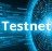 TestNet Guide