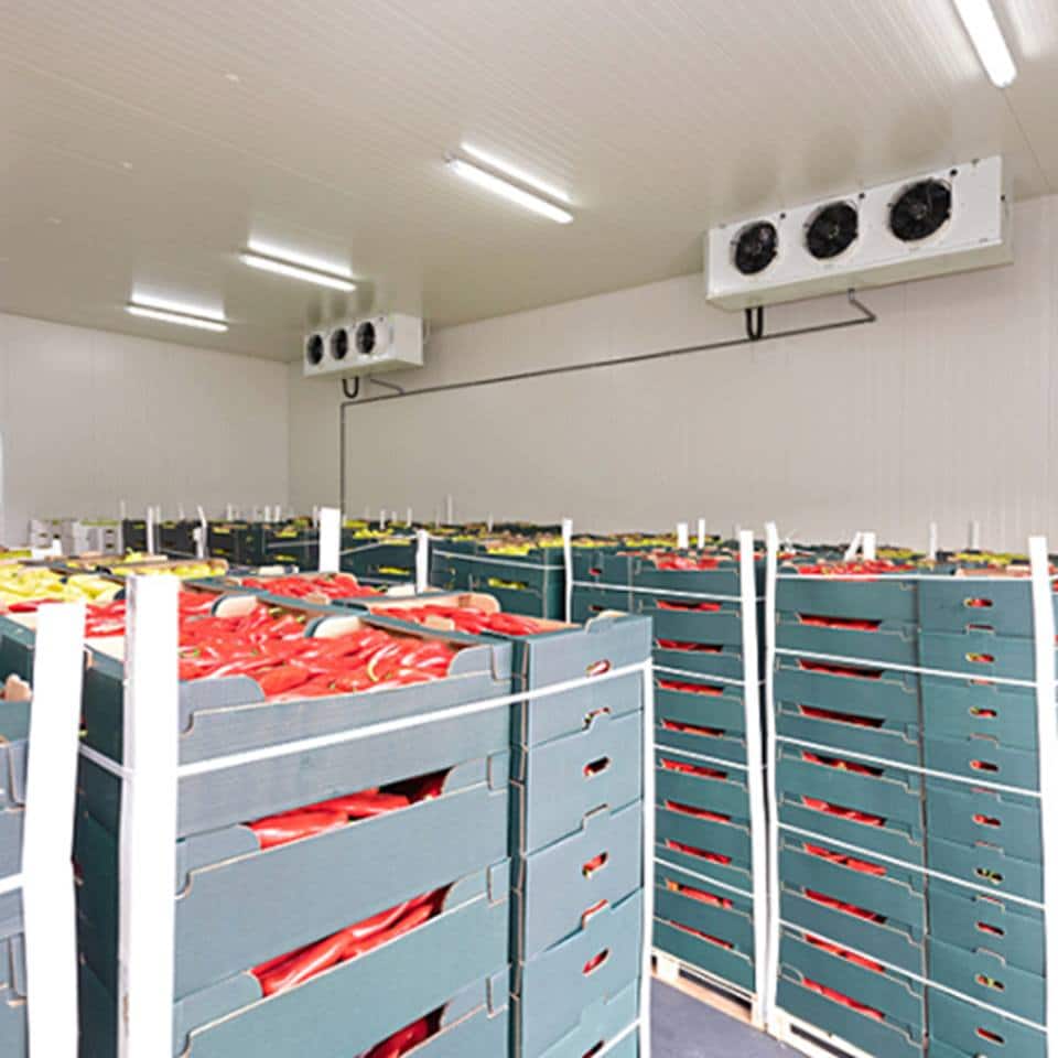 Cold Storage Energy Use Article Grid