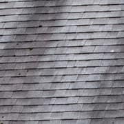 Gray roof shingles with blue-green algae stains.