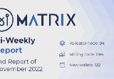 MATRIX AI NETWORK
BI-WEEKLY REPORT