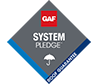 System Pledge Guarantee